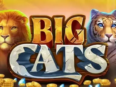BoaBoa Casino screenshot